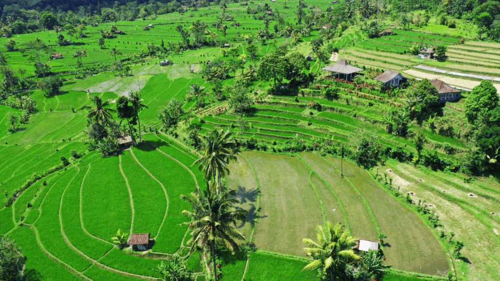 Sidemen Valley in Bali