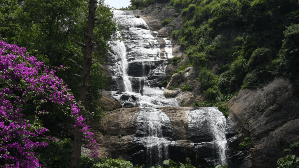 कोडाइकनाल, तमिलनाडु